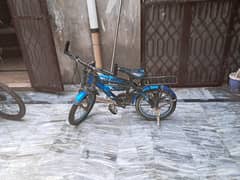 Cycle