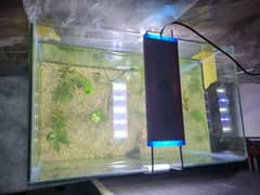 aqurium
