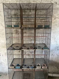 12 portion birds cage