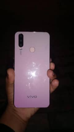Vivo