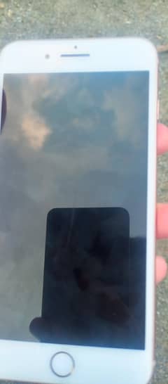 iPhones