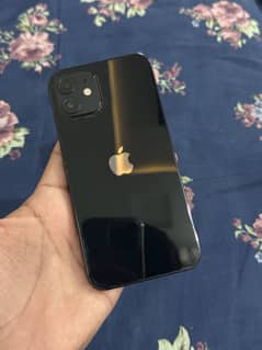 iPhone 12