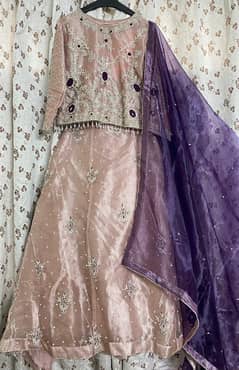 Organza Lehnga Choli with Dopta