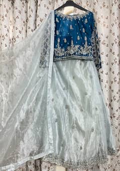 Organza Embellishmed Lehnga Choli