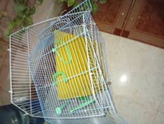 bird cage
