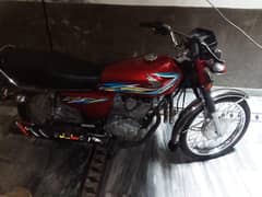 03056528131,,,, 03479041517