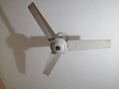 fan is for sale