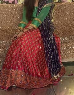 Sheesha work fully embroided silk lehenga with Banarsi Blouse