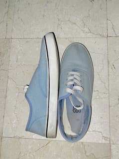 Light Blue Ecs Canvas Shoes