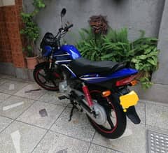 Honda Cb125F 2023 Model special Edition| Urgent for sale