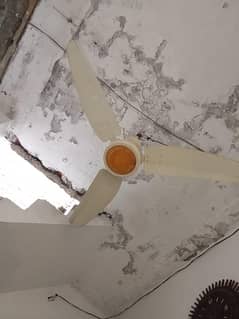 Celling fan new condition