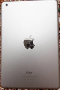 iPad mini 5 silver colour