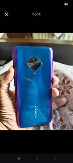 vivo