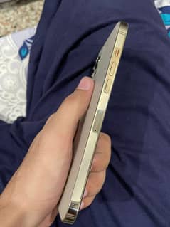 Iphone 12 pro max pta approved 256gb Gold
