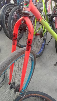 phonix cycle