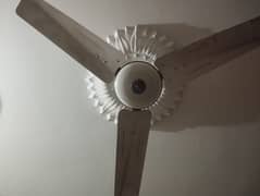 Pak Fan Deluxe Model Energy Efficient