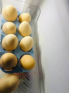 desi eggs for sale