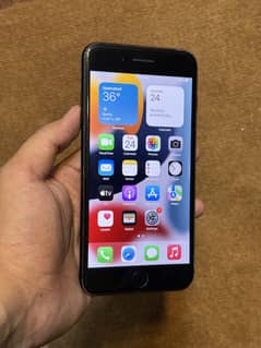 iPhone