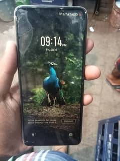 infinix hot 40i 03334200437