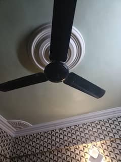 Energy Saver Ceiling Fan