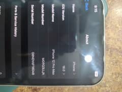 iPhone 12 pro max
