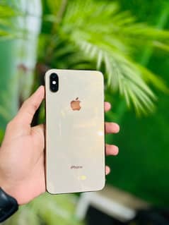 XS Max 256 PTA