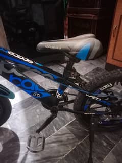 sports cycle