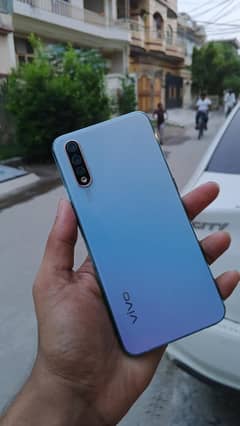 Vivo
