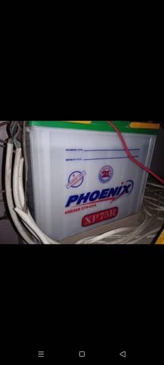 Phoenix Battery 50amp and charger