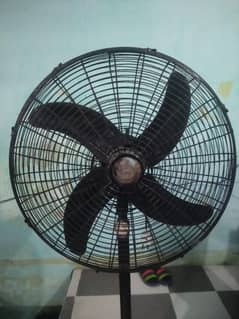 Fans Standing/Pedestal