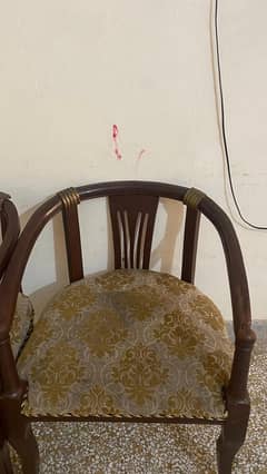 sara Saman urgent sale