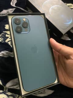 Iphone 12 pro max pta approved