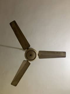 Ceiling fan for sale