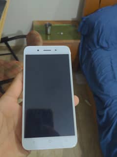 Vivo Y66 6/128 pta approved