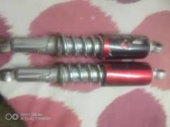 CD 70 shock