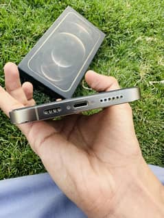iPhone 12 Pro max