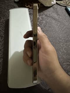 Iphone 12 pro pta aprrove