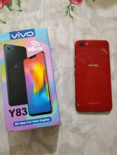 vivo