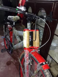 bicyles big siz