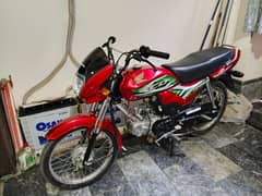 New CD 70 Dream (Applied For) 2023 for Sale
