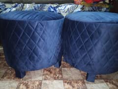 Moray for sale