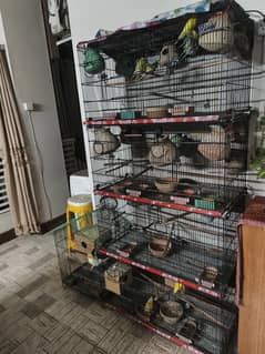8 partition cage for sell with birds