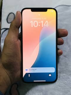 iPhone 12 Pro Max non pta Jv