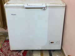 Haier Freezer