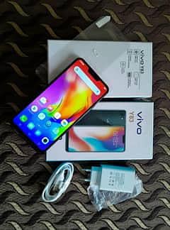 Vivo