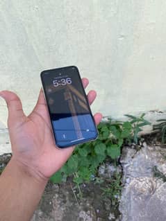 Apple iPhone X