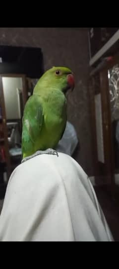 active and healty
