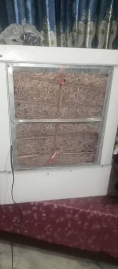 air coolers