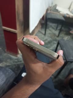 13pro max golden colour 256Gb non pta factory unlock