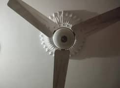 Pak Fan Deluxe Model